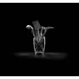 lyzka-do-lodow-lurch-tango-marka-lurch