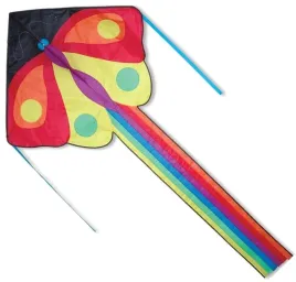 kolorowy-duzy-latawiec-z-teczowym-ogonem-motyl