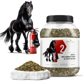 phytoseo-ziolowa-mieszanka-phyto-horse-2-przeciwzapalna-12-kg