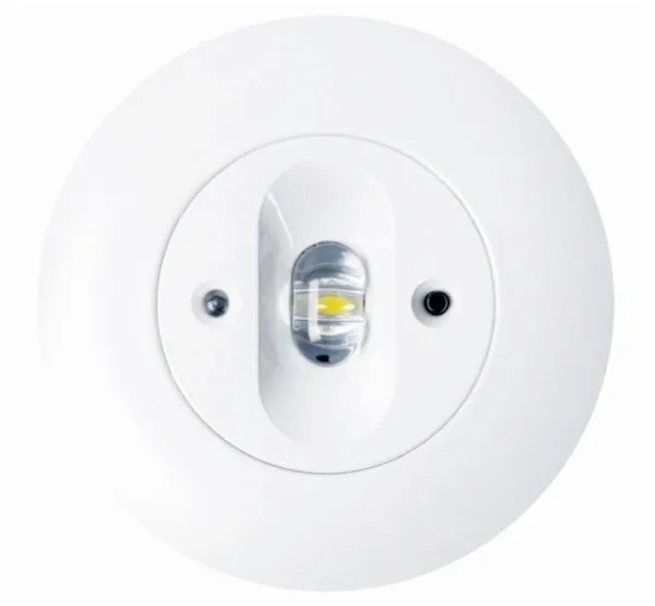 plafon-intelight-bialy-liczba-punktow-swiatla-brak