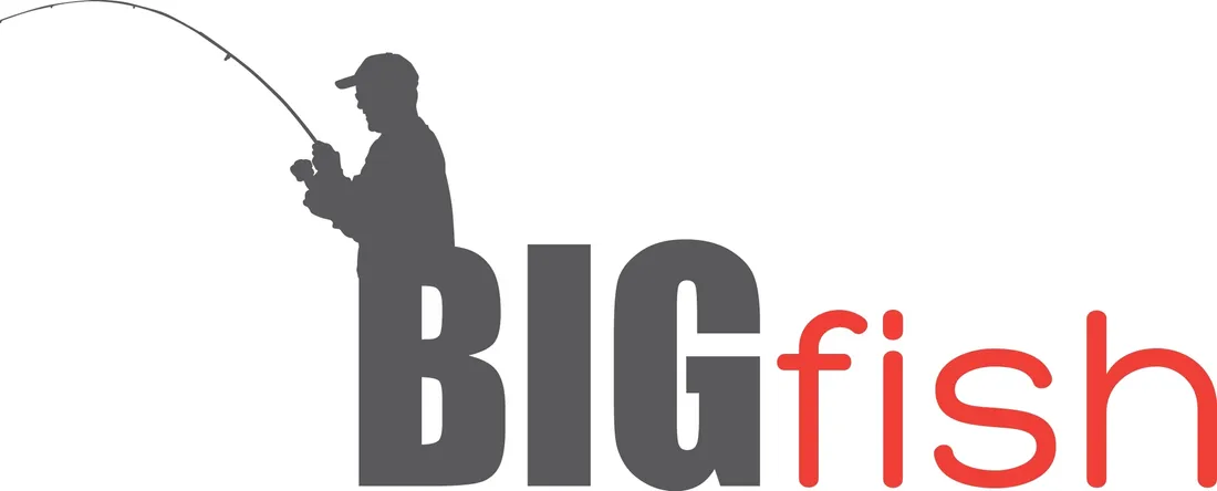 kolowrotek-york-edith-2000-marka-york