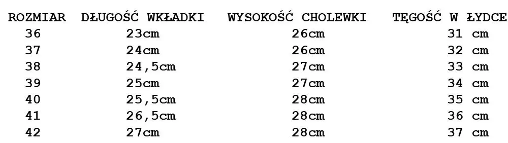 kalosze-lemigo-r-37-marka-lemigo
