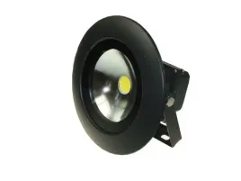 naswietlacz-led-luis-10w-cw
