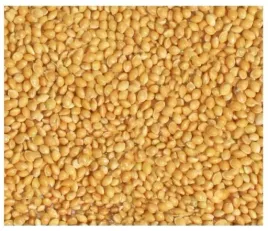 proso-zolte-suche-oczyszczone-dla-ptakow-zimujacych-papug-i-egzotyki-5kg