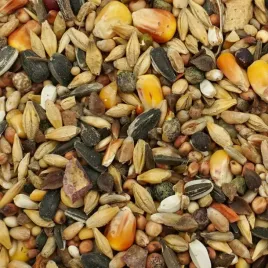 mieszanka-paszowa-champion-uniwersalna-14-kg-dla-ptakow