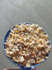 kukurydza-cwiartki-walcowana-gnieciona-dla-drobiu-kur-bydla-golebi-20kg