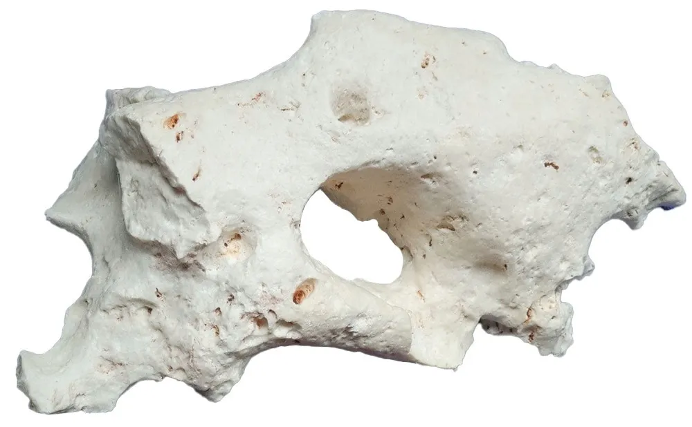 skala-limestone-10-kg