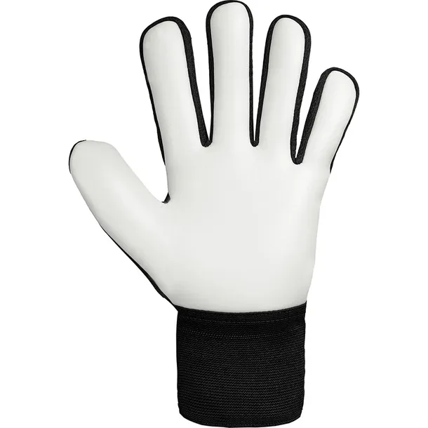reusch-rekawice-bramkarskie-attrakt-freegel-silver-marka-reusch