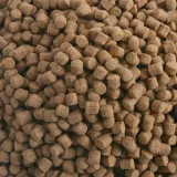 pokarm-hikari-wheat-germ-m-5kg-kod-producenta-042055063821