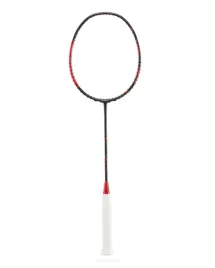 rakieta-do-badmintona-kawasaki-spider-king