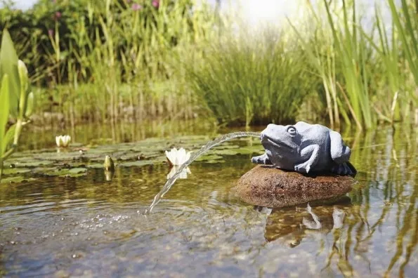 dekoracja-pontec-tryskajaca-zabka