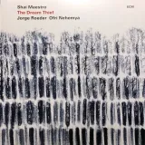 dream-thief-shai-maestro-winyl