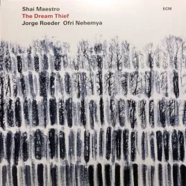 dream-thief-shai-maestro-winyl