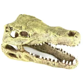 aqua-della-czaszka-krokodyla-dekoracja-234-426517