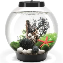 biorb-classic-15-mcr-led-czarny-zestaw-akwarium