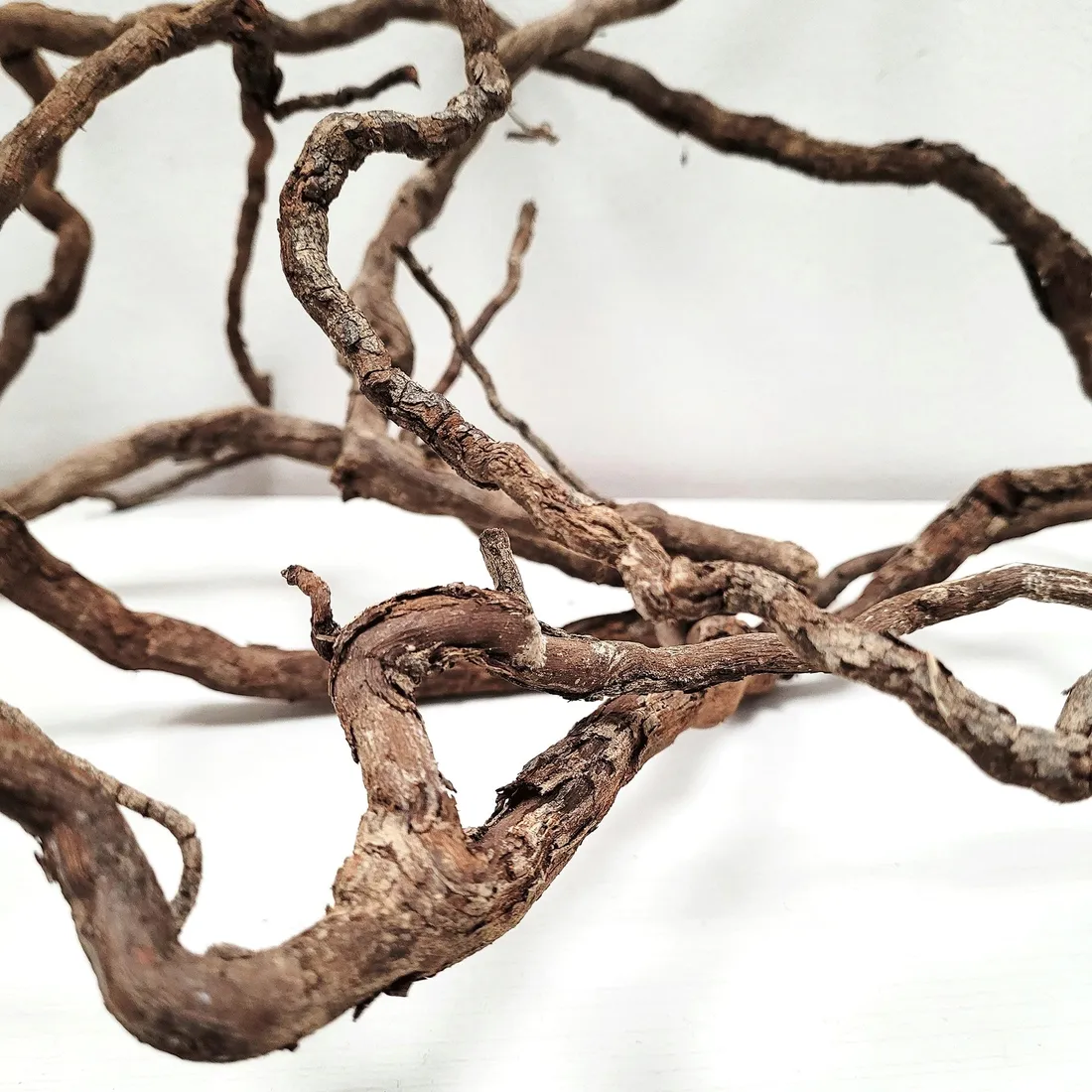 wio-elder-roots-10-30cm-250g