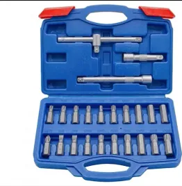 zestaw-bitow-i-nasadek-cr-v-23szt-torx-spline-hex-walizka