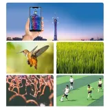 teleskop-pds-v2-rodzaj-teleskop