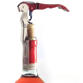 korkociag-hendi-597316