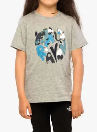 koszulka-dziecieca-fjallraven-kids-forest-findings-t-shirt-grey-melange