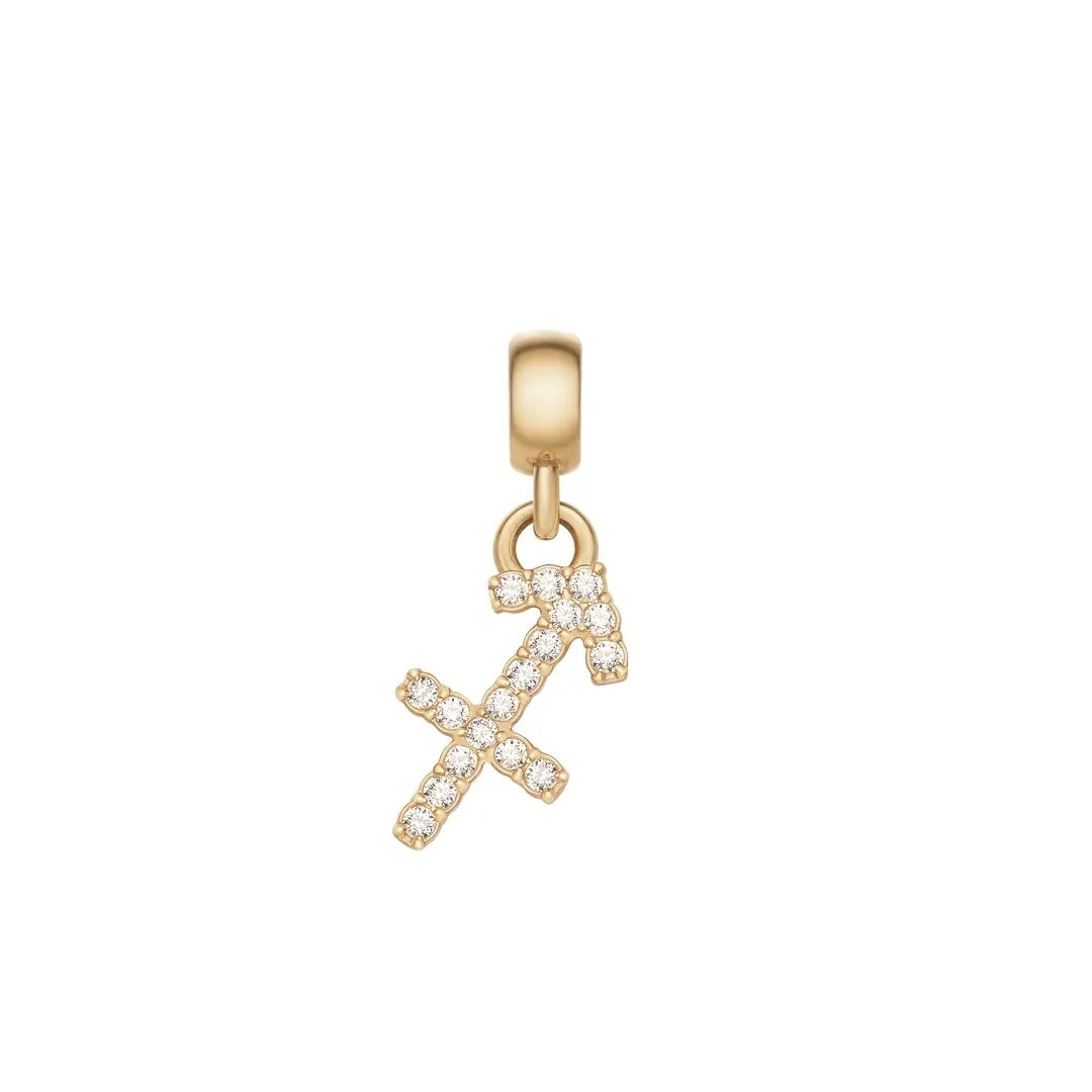 daniel-wellington-zodiac-charm-dw00400765