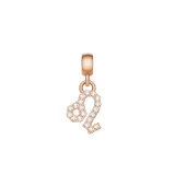 daniel-wellington-zodiac-charm-dw00400737