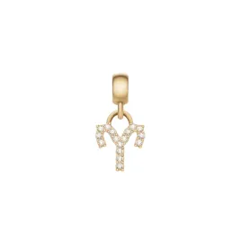 daniel-wellington-zodiac-charm-dw00400755