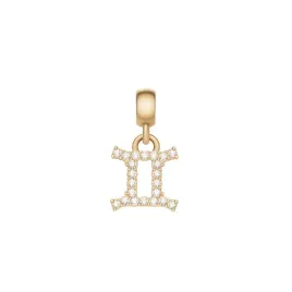 daniel-wellington-zodiac-charm-dw00400758
