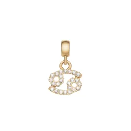 daniel-wellington-zodiac-charm-dw00400757