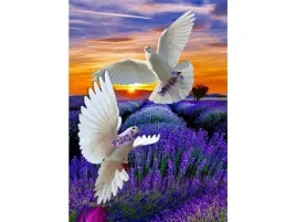 obraz-malowanie-na-prezent-rama-2-golebie-40x50cm