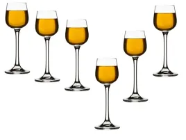 kieliszek-do-likieru-galicja-porto-bezbarwny-60-ml-6-szt