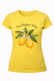 zestaw-10szt-damska-koszulka-t-shirt-or-rozm-xxl-or-2xl