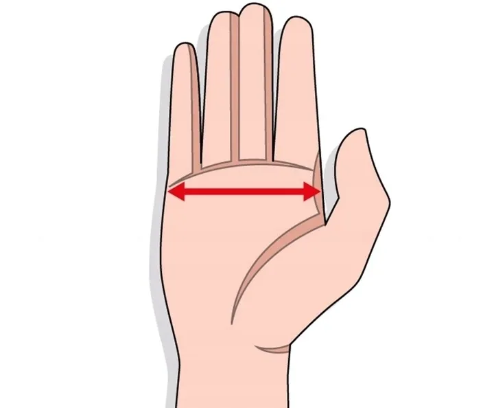 rekawice-viking-tuson-8-kod-producenta-111-22-6523-0887-8