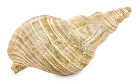 fugurka-dekoracyjna-muszla-art-pol-141398-24-cm