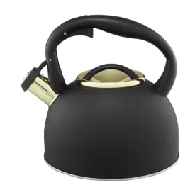 czajnik-tradycyjny-stalowy-ambition-25-l-czarny