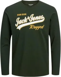 koszulka-bluzka-jackandjones-jjjelogo-tee-ls-o-neck-mountain-view-164