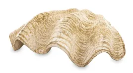 figurka-dekoracyjna-muszla-art-pol-141400-6-cm