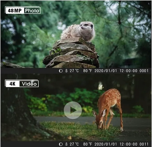 fotopulapka-coolife-h953-model-h953