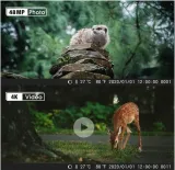 fotopulapka-coolife-h953-model-h953