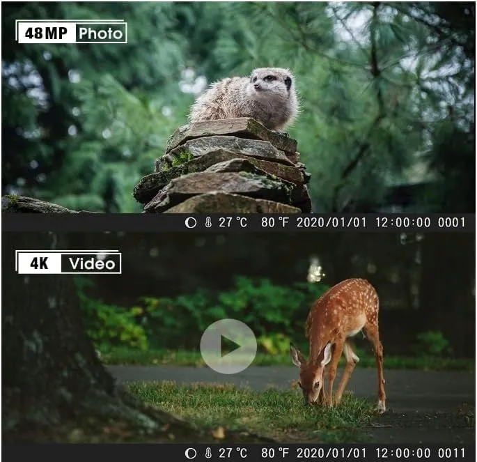 fotopulapka-coolife-h953