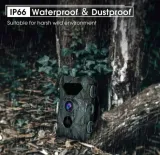 fotopulapka-coolife-h953-marka-coolife