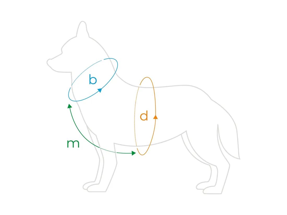 szelki-regulowane-guard-amik-l-pizzadog
