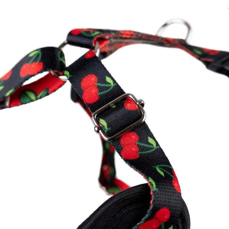 szelki-discovery-behappy-amiplay-s-cherry