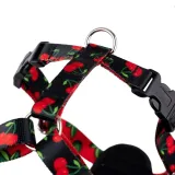 szelki-discovery-behappy-amiplay-s-cherry-rozmiar-s