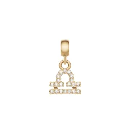 daniel-wellington-zodiac-charm-dw00400761