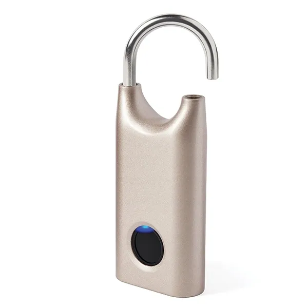 klodka-lexon-nomaday-rodzaj-klodka