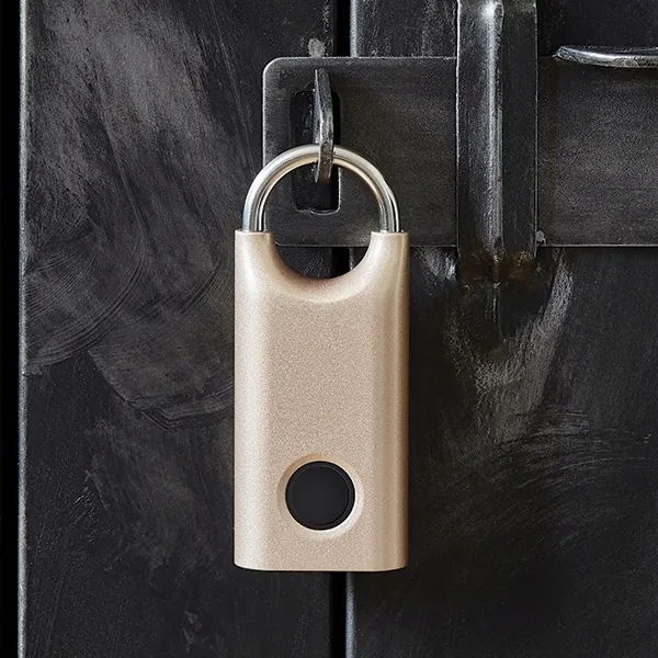 klodka-lexon-nomaday