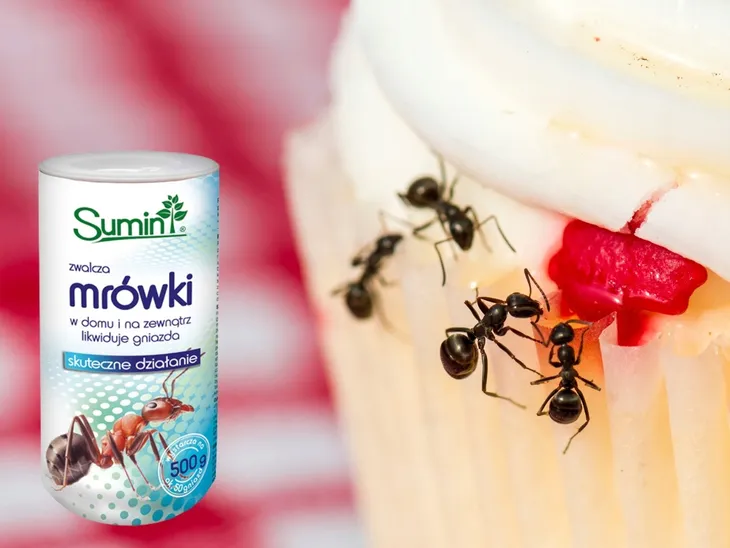 proszek-na-mrowki-preparat-granulat-przeciw-mrowkom-sumin-mrowkozol-500g-rodzaj-proszek-kod-producenta-5907102010416