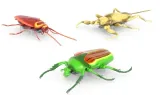 hexbug-nano-real-bugs-3pak-robakow-6068914-owady-robaki-poruszaja-sie-bohater-brak