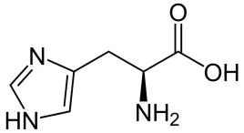 l-histydyna-histydyna-histidine-czysta-250g
